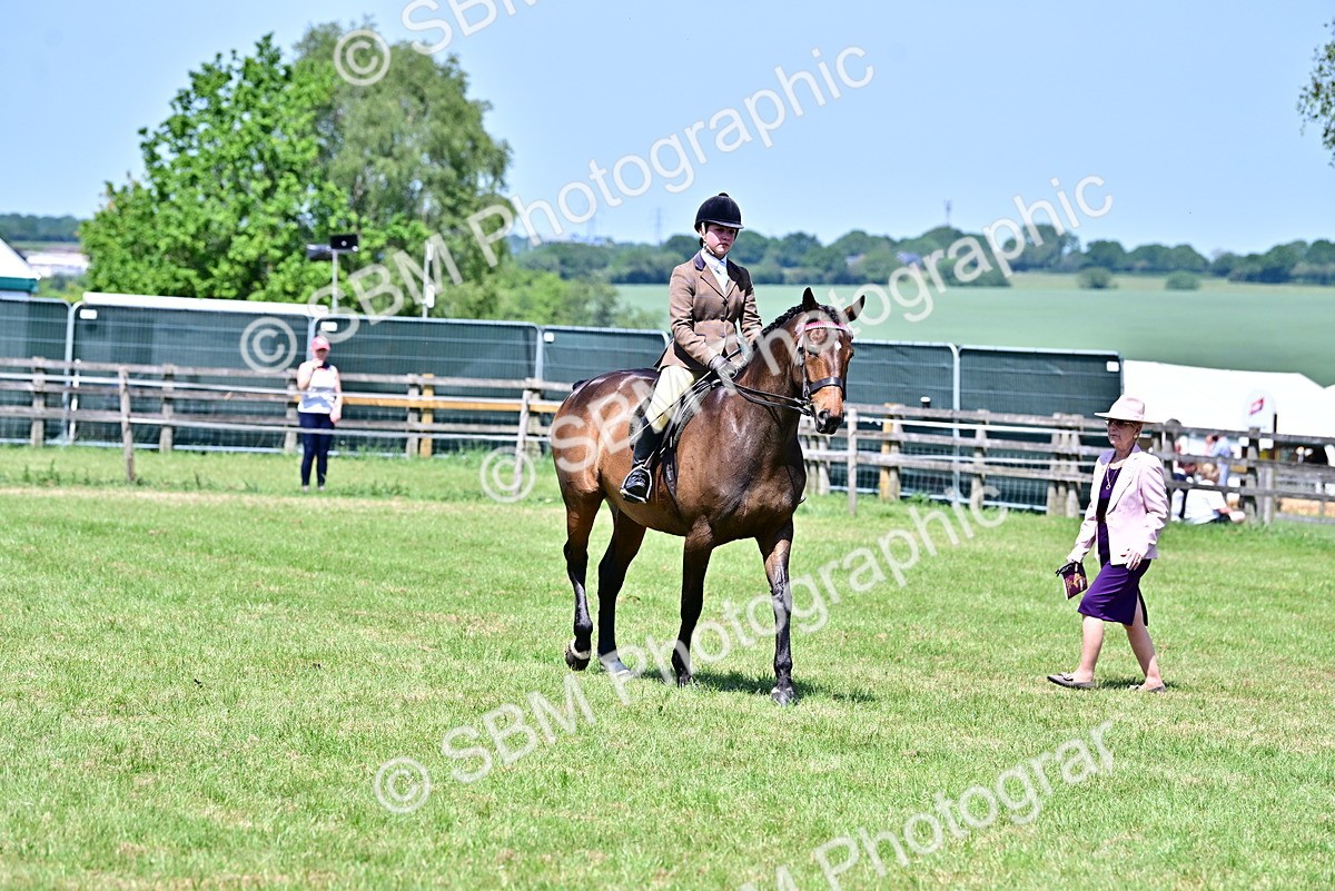 SBM_17441 - Class 95-97 - BSPS LHS Performance Ponies