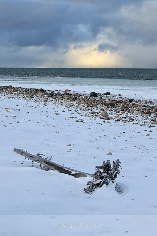 Hudson Bay shoreline in winter, stormy sky - Canada