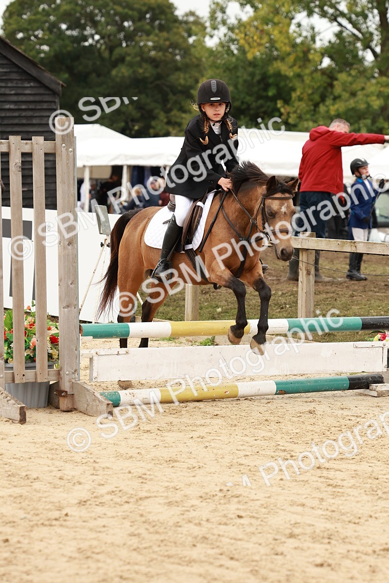 SBM_61860 - J12 - Junior Pony 55cm Championship