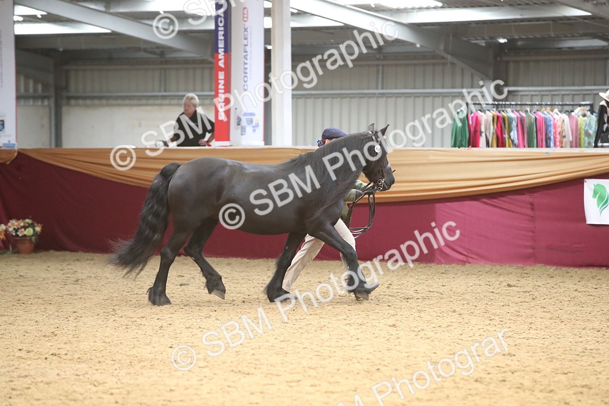 SBM_05654 - Class 9R - Regional IH Pre-Vet