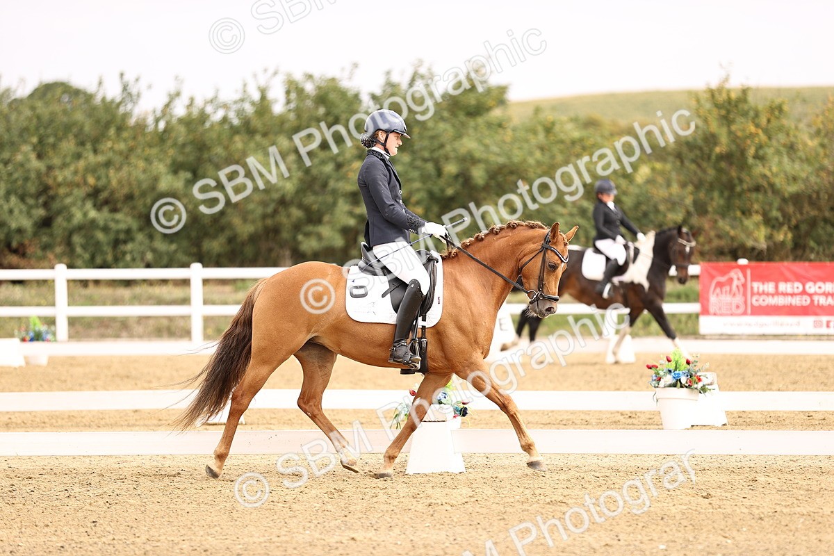 SBM_011691 - Class 1 - Medium 5