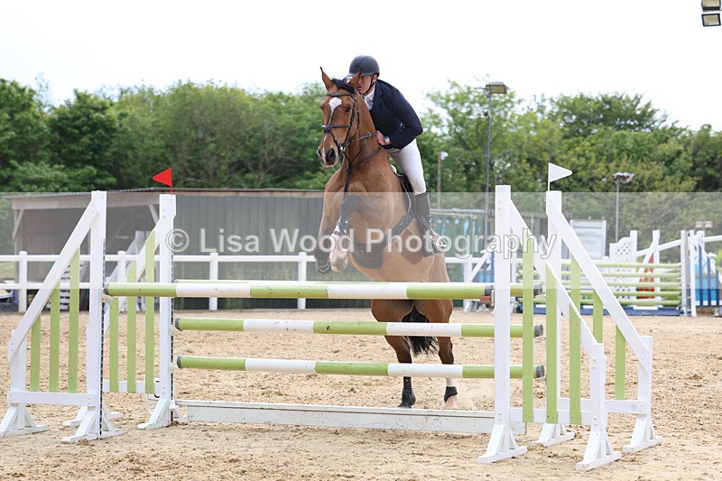 3E7A7643 - Class 8: Senior Foxhunter/1.20 open