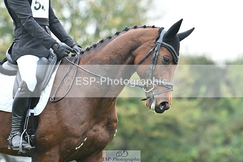 241024-144357-04351 - 584-Tommy.Greengard-I'M.ALL.IN