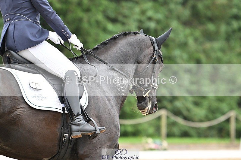 240811-120309-05329 - 118-Katie.Kneen-Springtime.Evergreen