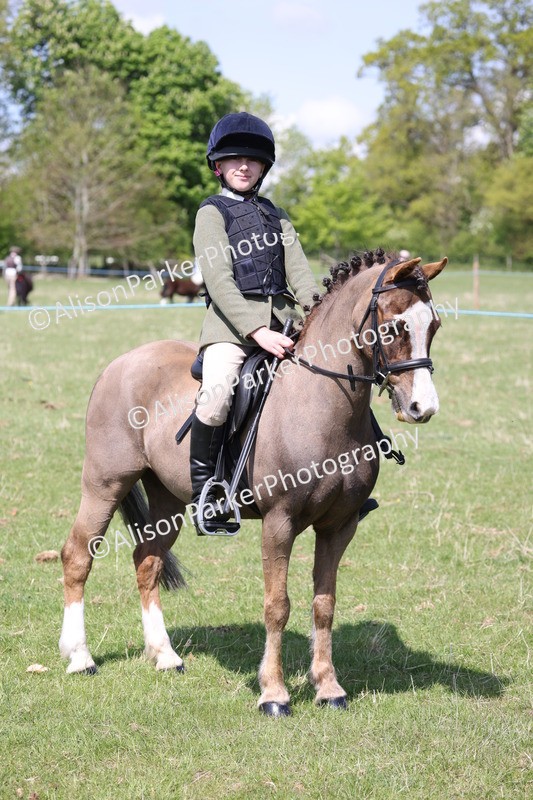 20250427-3332 - Small Pony Championship