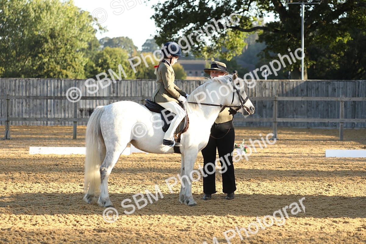 SBM_33608 - D26 - Starers - Lead Rein