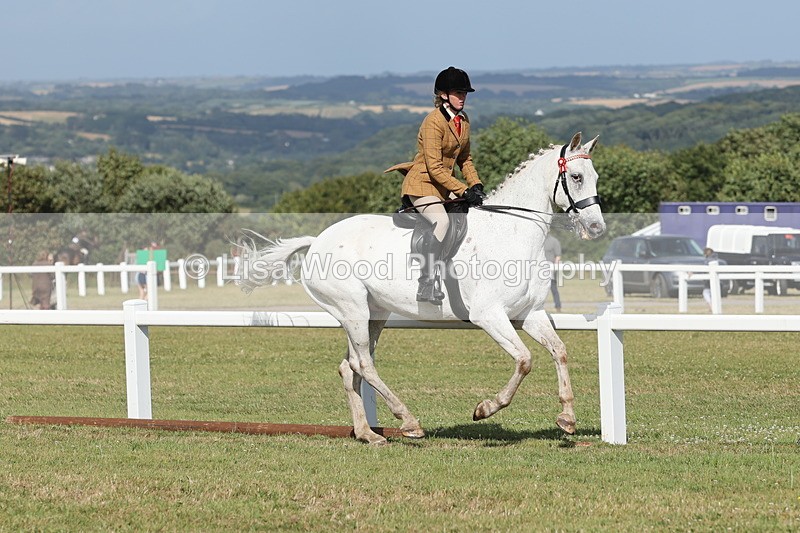 JPP_2910 - Class 20: Working Hunter 70cm