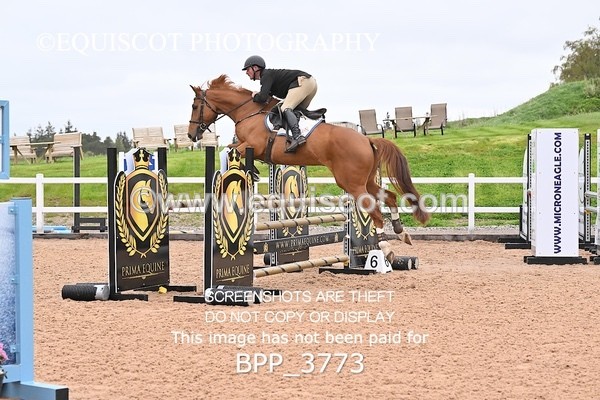 BPP_3773 - CLASS 16 SUN Senior Newcomers/1.10m Open