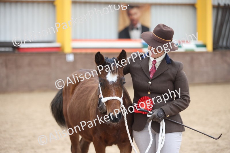 20251109-1164 - Championship