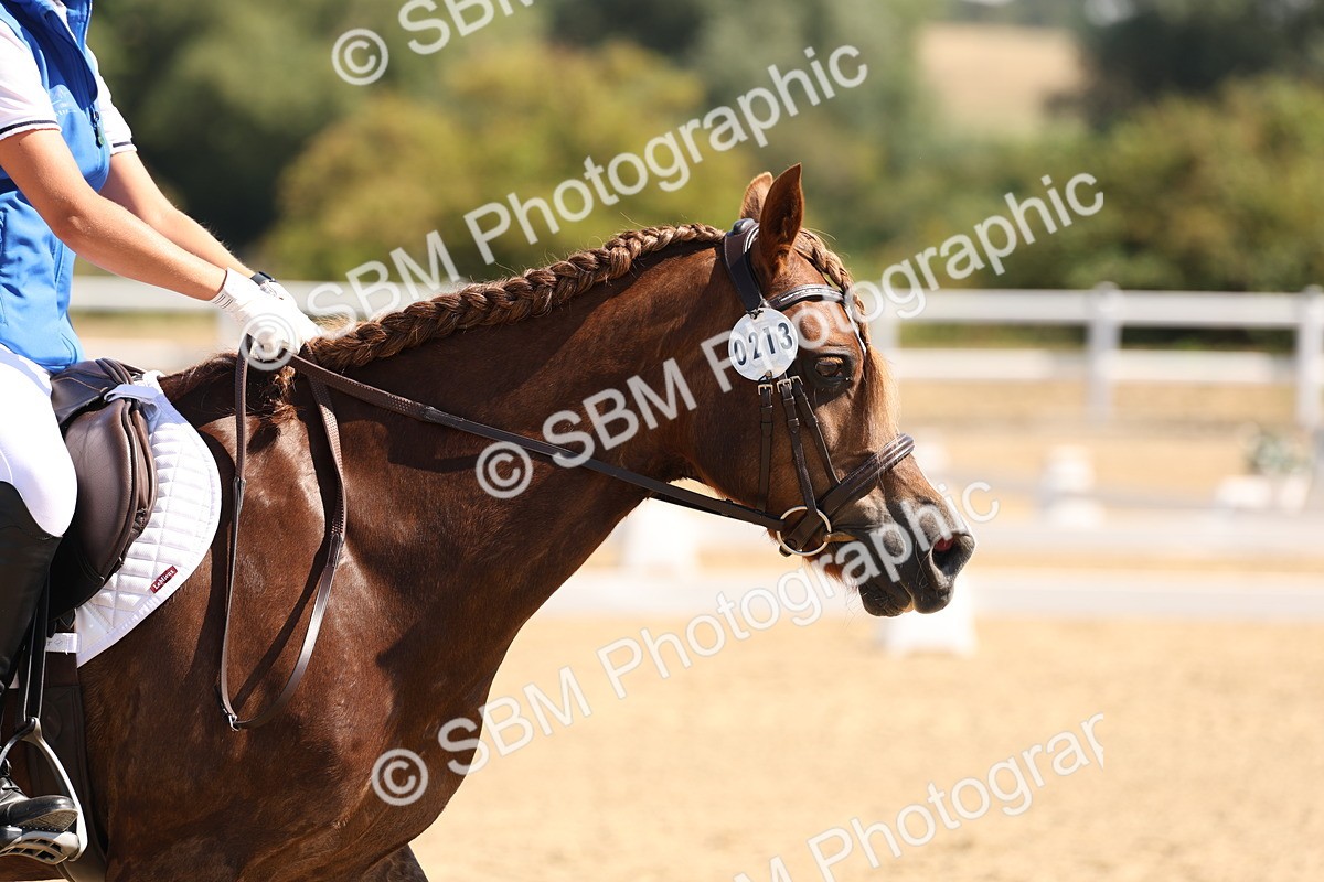 SBM_001128 - Intro 2