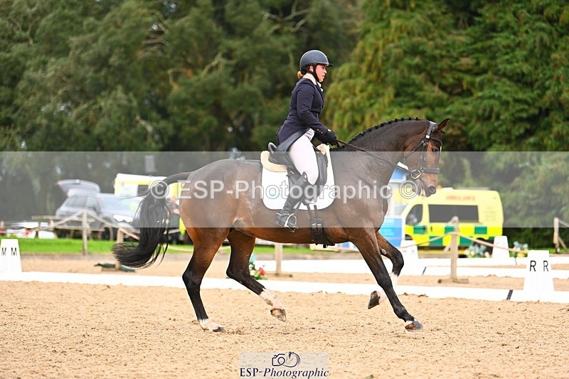 231020-164137-12353 - 317-THREEROCKS.PEGGY.BAWN-Harriet.Dickin-DR