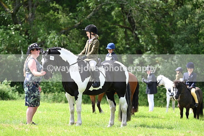 WJ7_1413 - Class 11 Condition & Turnout