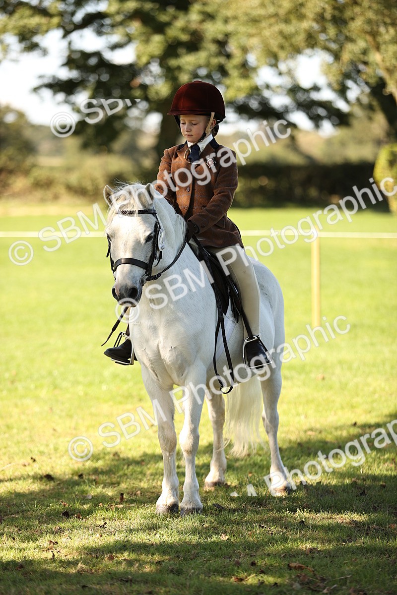 SBM_19196 - S3 - TSR Ridden Pony Showing