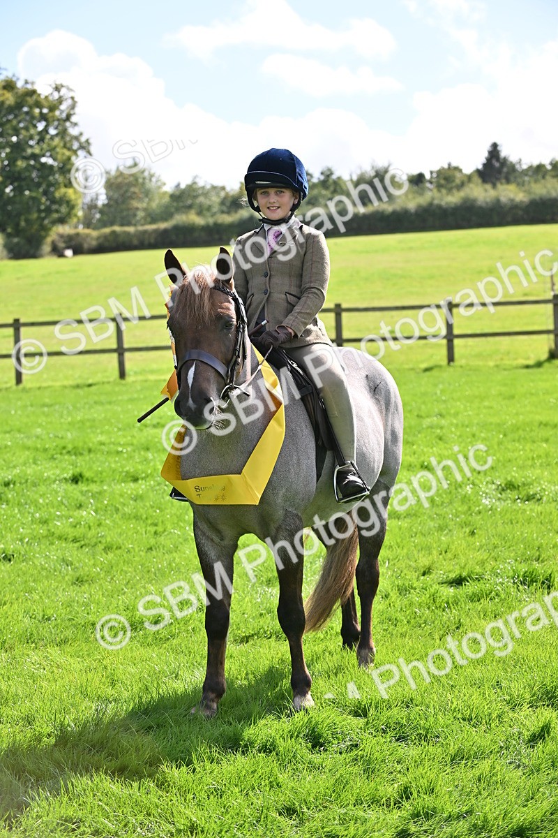 SBM_44595 - S13 - Pony Club Pony