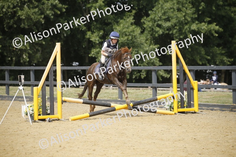 20250622-4095 - 50cm