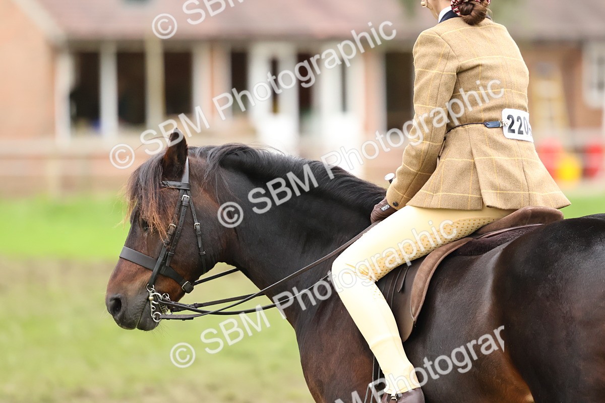 SBM_67489 - S61 - Mountain & Moorland Ridden