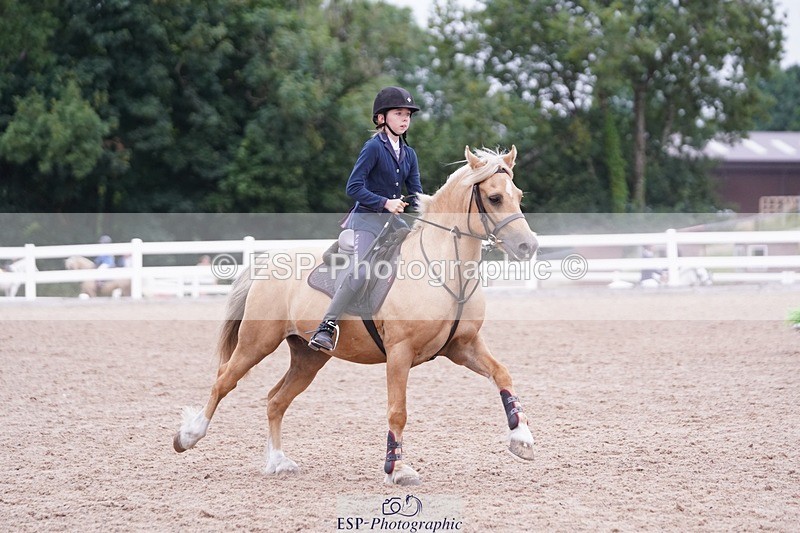 250629-082156-09849 - Cls 35 Pony British Novice & 80cm Open