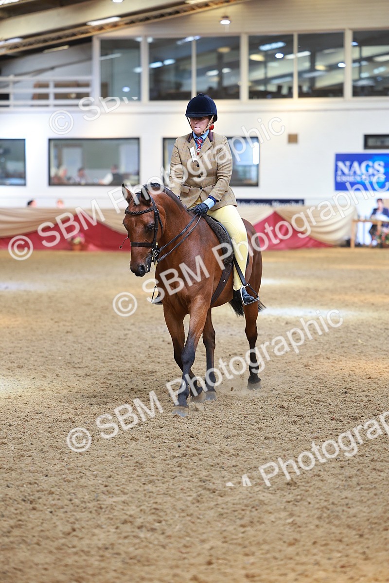 SBM_12581 - Class 103 - HOYS Veteran Qualifier - Ridden Pre Vet