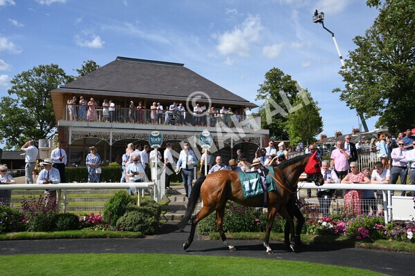yr09072022r5-4 - Race 5 4.05pm John Smith's Cup