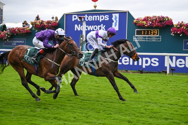 220824-Race 2-Diligently-6839 - Race 2 2.25pm Harry's Half Million By Goffs Premier Yearling Stakes