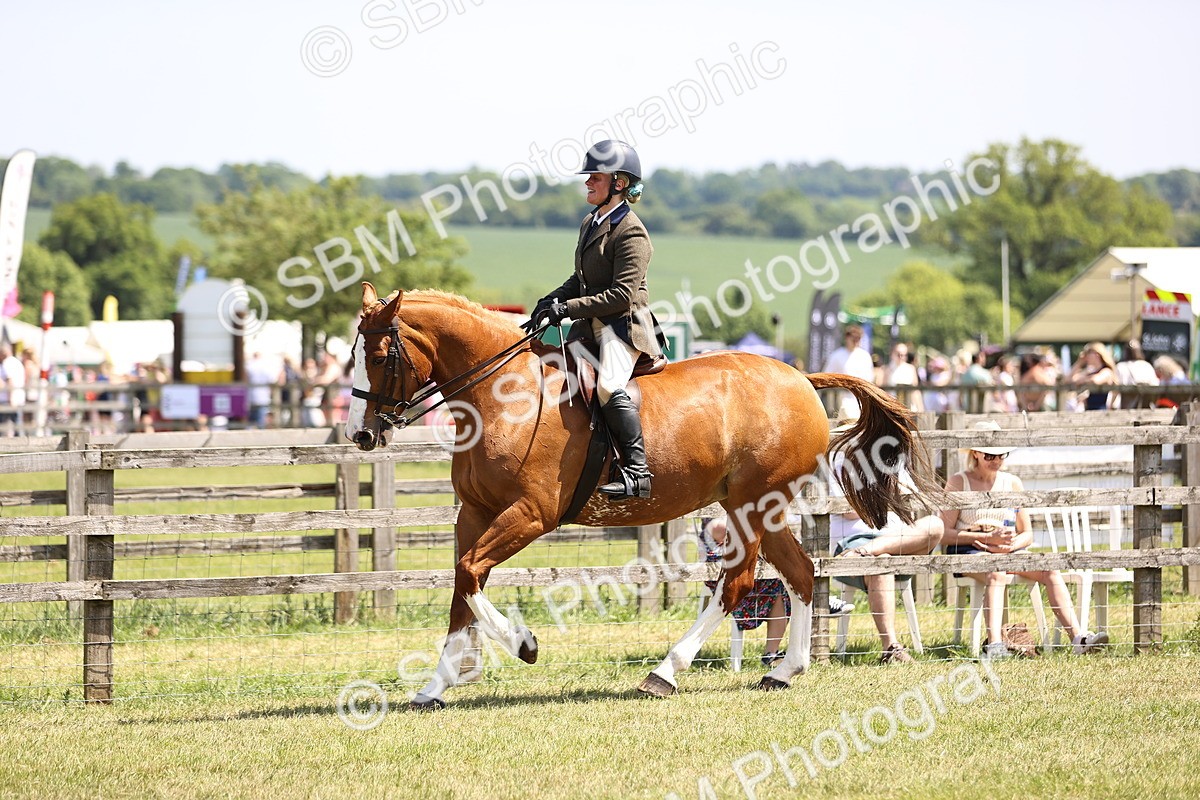 SBM_15096 - Class 79-80 - LIHS BSHA Rising Star Ridden Hunter