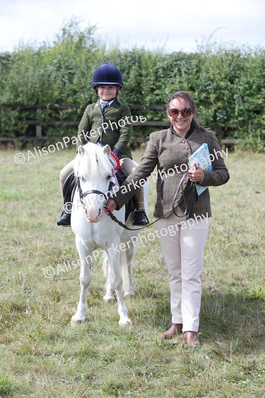 20250831-3225 - Class 24 - Absolute Beginners Pony