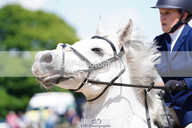 250615A-114822-10516 - Class 45 95cm Amateur Qualifier
