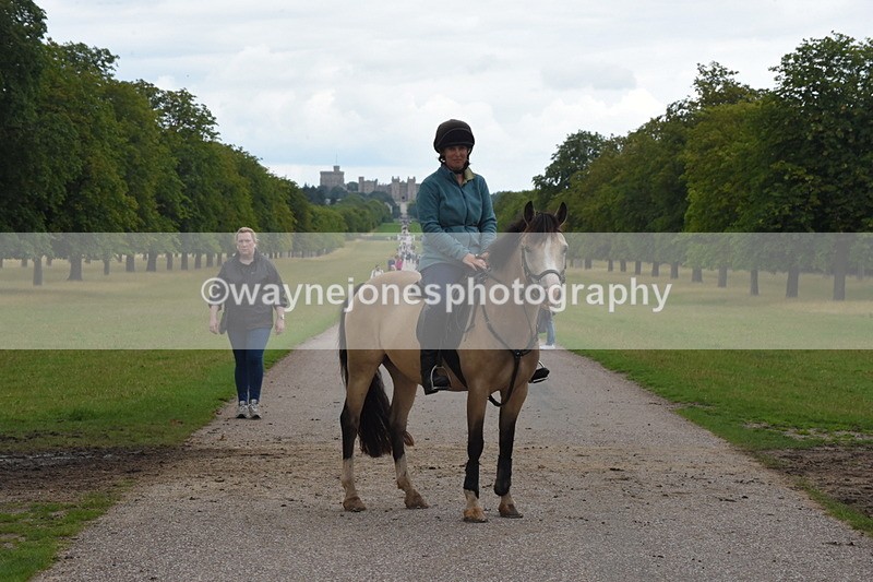 TT3_0019 - Time at Crossing 13:17 to 14:48