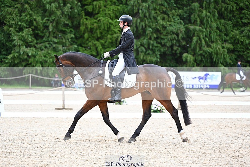 240524-180218-11552 - 162-HAZZLE_DAZZLE-Henry_Hobby