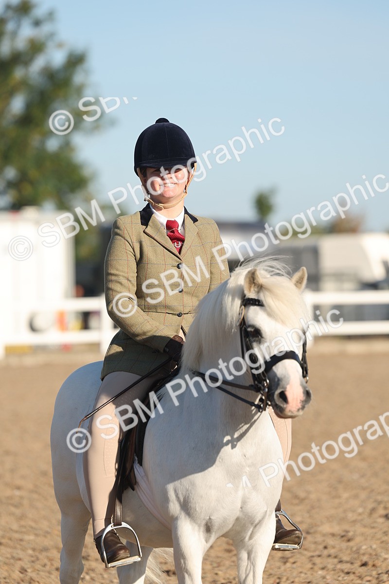 SBM_10916 - Class 301 - Ridden M&M Small Breeds