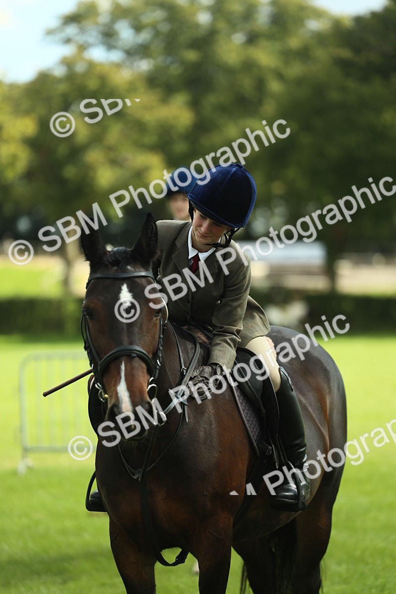 SBM_42153 - S29 - Novice & Newcomers Working Hunter Pony