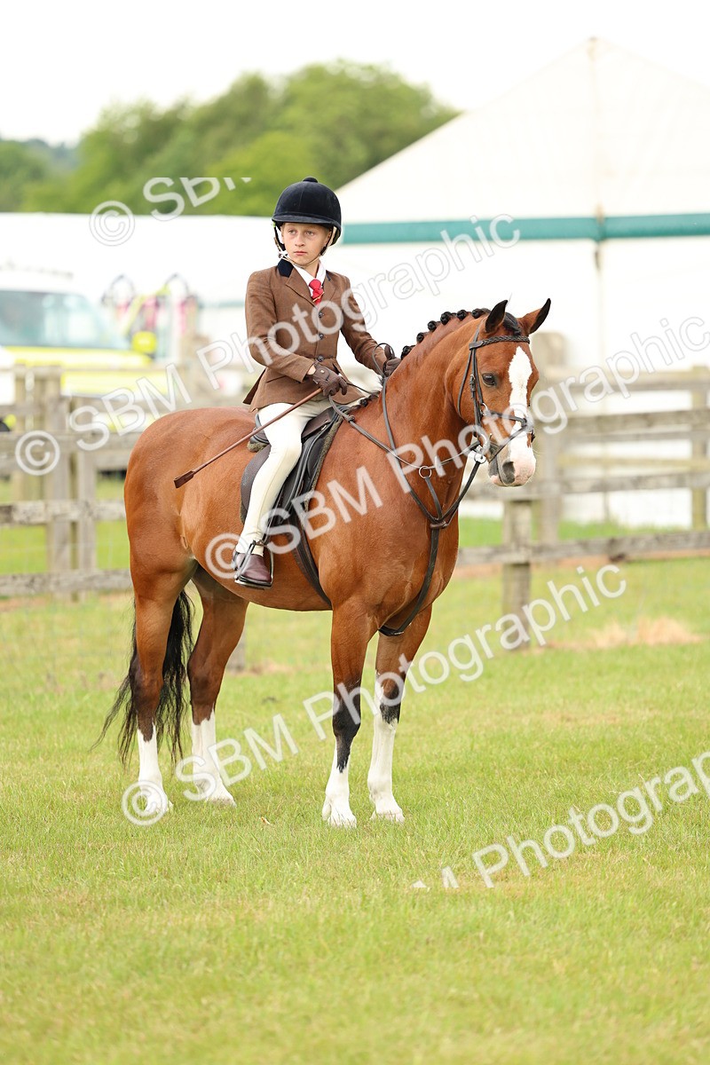 SBM_10378 - Class 44-45 - LIHS BSPS Open Nursery and Cradle Stakes