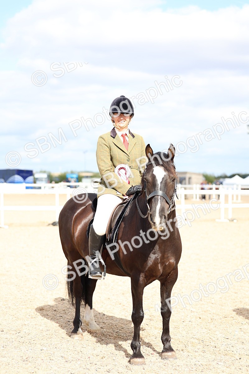 SBM_15866 - Class 314 - Family Horse - Pony