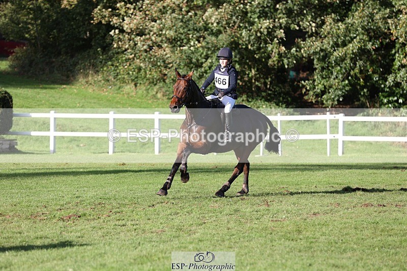 231022-154122-29885 - 466-SPARHANGER.VELVET-Tichy.Sanders-TrotUp+SJ