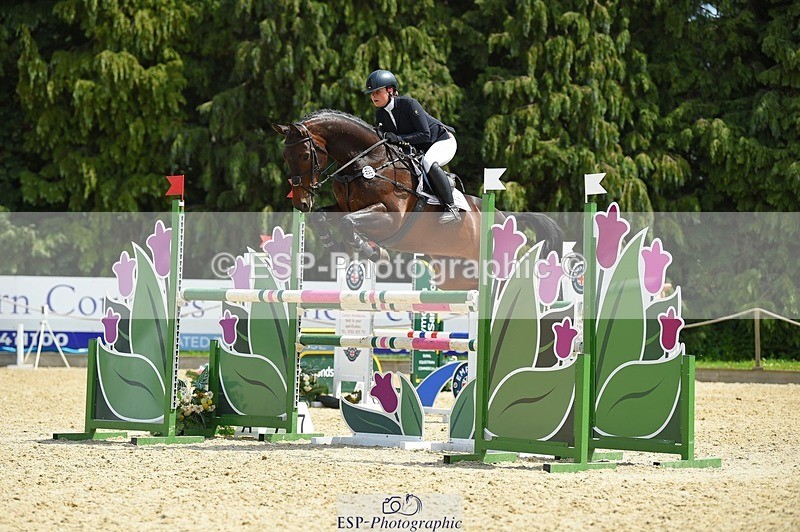 230528-125138-15872 - 357-VIVENDI_HERO-Saffron_Cresswell-SUNTrotUp+SJ