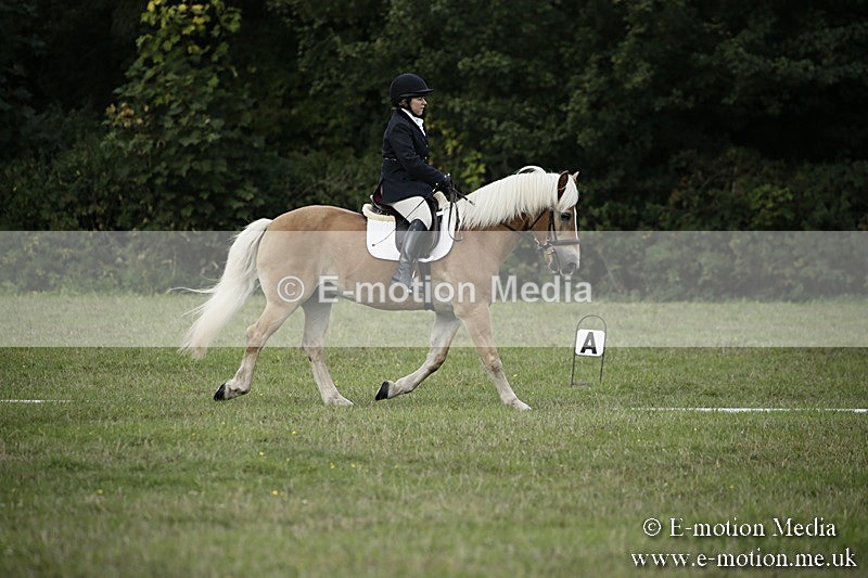 BVR090918 55 - BVRC Dressage and Show Jumping 09/09/18