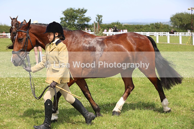 JPP_3428 - Class 22: Working Hunter 70cm