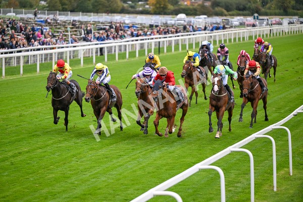 101025-Race 2-Astrazar-6321 - Race 2 British EBF £100,000 Final at York