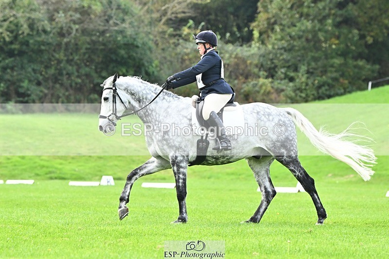 241024-115228-02519 - 510-Kathryn.Virjee-BROWNSTOWNS.SEAWATCH