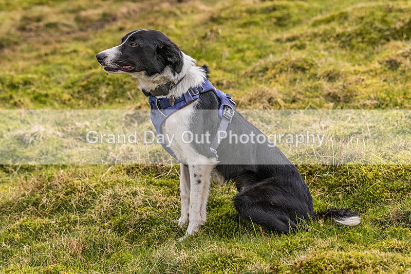 Keswick-583 - Inter Counties & Up and Down Mountain Running Champs (Junior & Senior Races) Sunday 21st April 2024