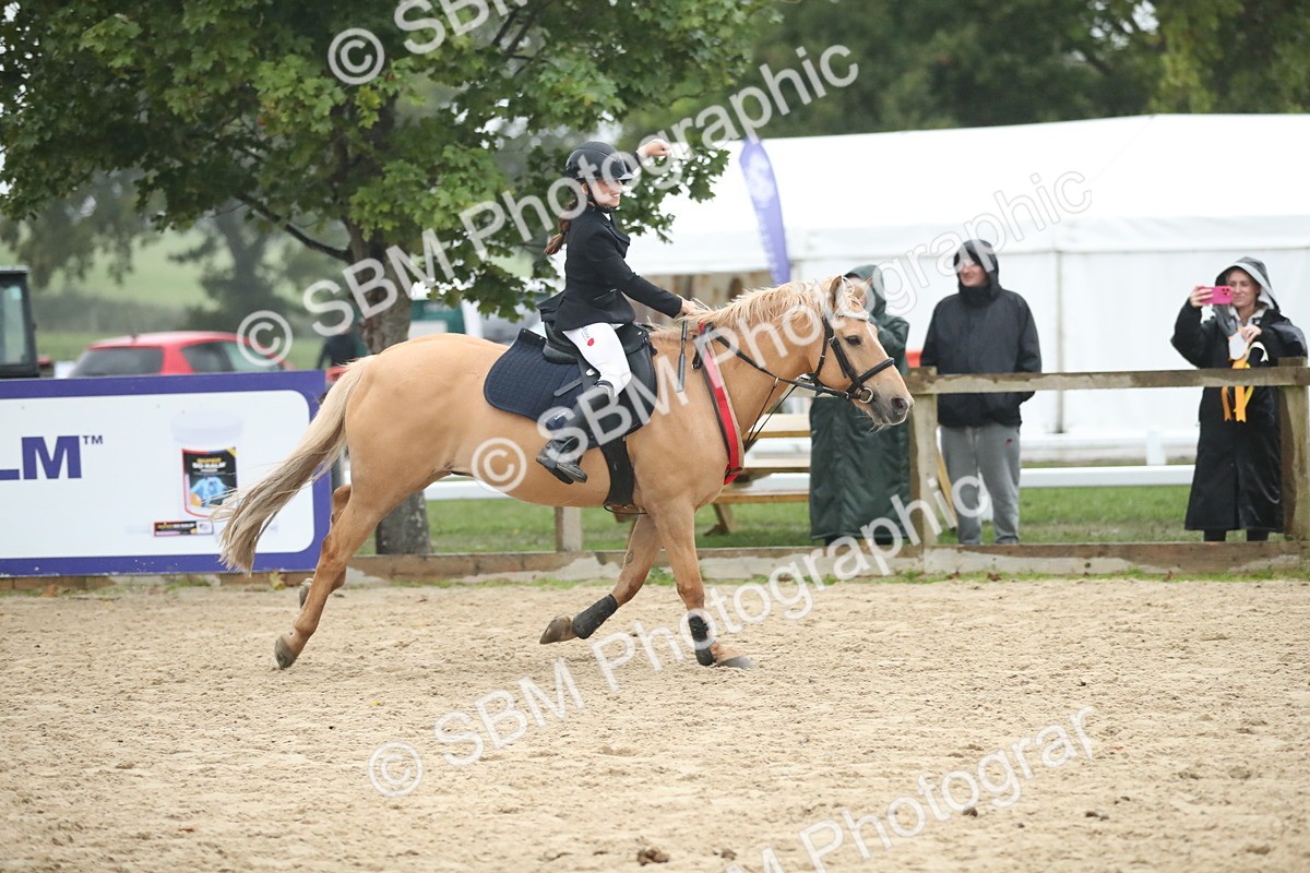 SBM_74338 - Supreme championship Junior Pony 70cm 75cm