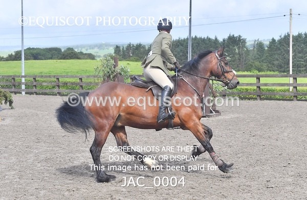 JAC_0004 - CLASS 3 Intermediate Working Hunter (0.70m - 0.85m)