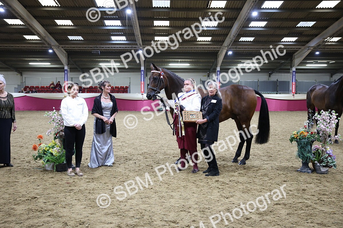 SBM_18842 - Class E IH Horse Champ
