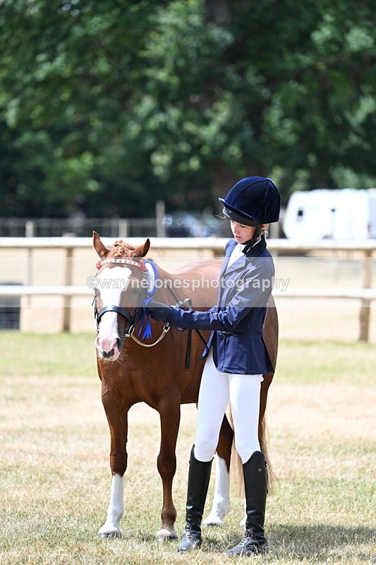 WJ7_1744 - Class 4 Prettiest Mare up to 14.2hh in hand