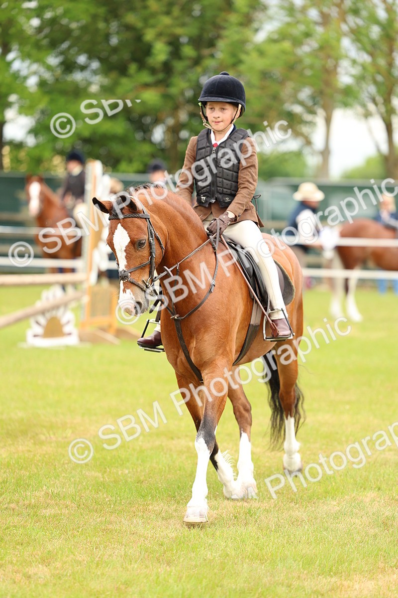 SBM_10225 - Class 44-45 - LIHS BSPS Open Nursery and Cradle Stakes