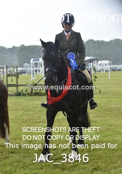 JAC_3846 - 65cm WORKING HUNTER