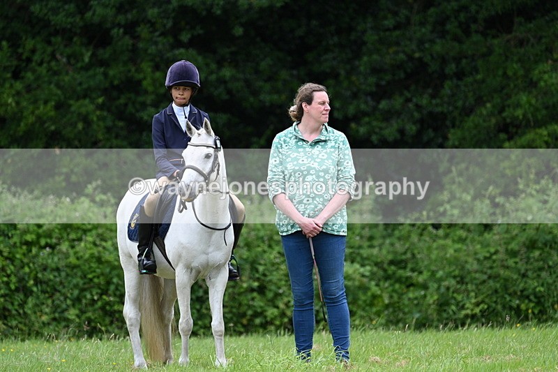 WJ7_4150 - Class 14A Handsome Gelding