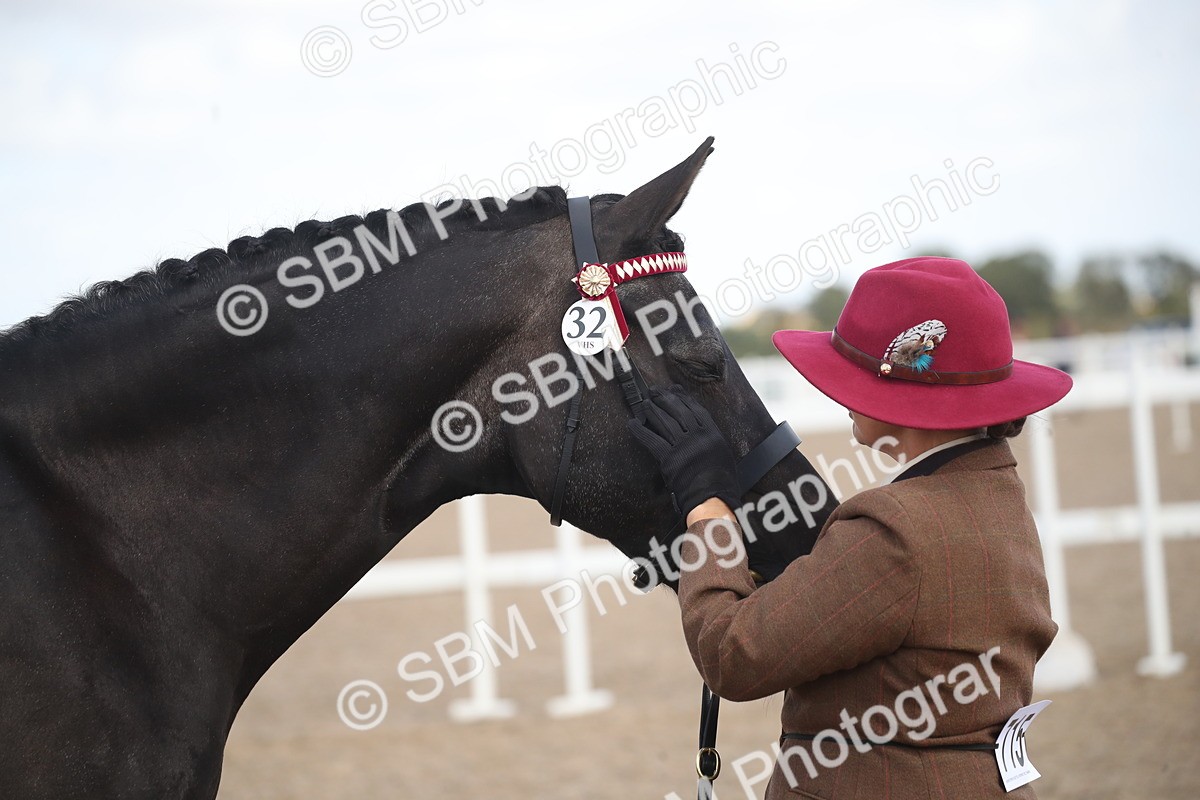 SBM_23438 - Class 604 - 2026 - Area IH Diamond