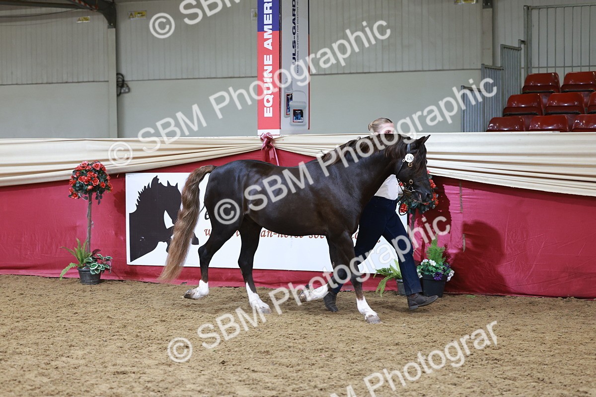 SBM_17440 - Class 951 - M&M IH Supreme Final