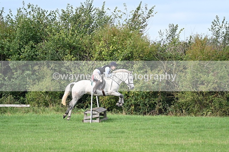 WJ7_8411 - 60cm Pairs